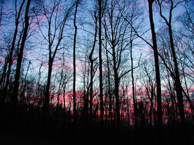 Sunset on Mountain Mist Trail, Huntsville, AL