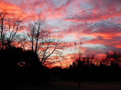 Sunrise from My Back Door
