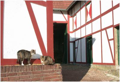 boerderij Steinbusch in Lemiers