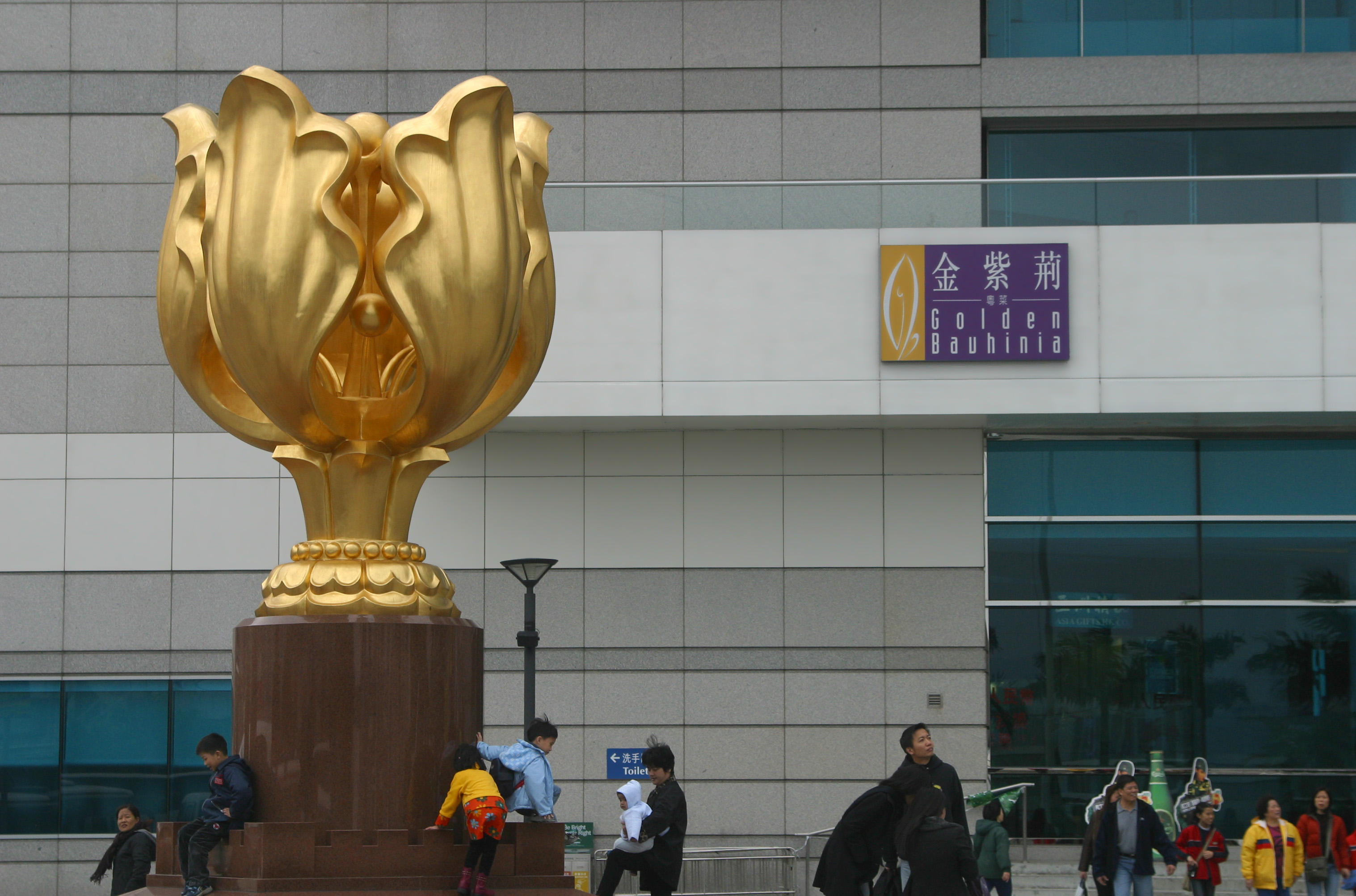 Golden Bauhinia