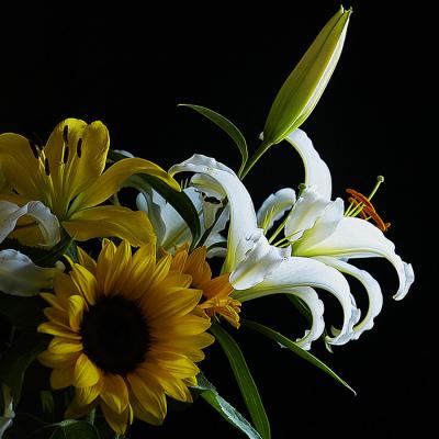 u8/philinnz/medium/37225804.VelviaCopyflower700.jpg