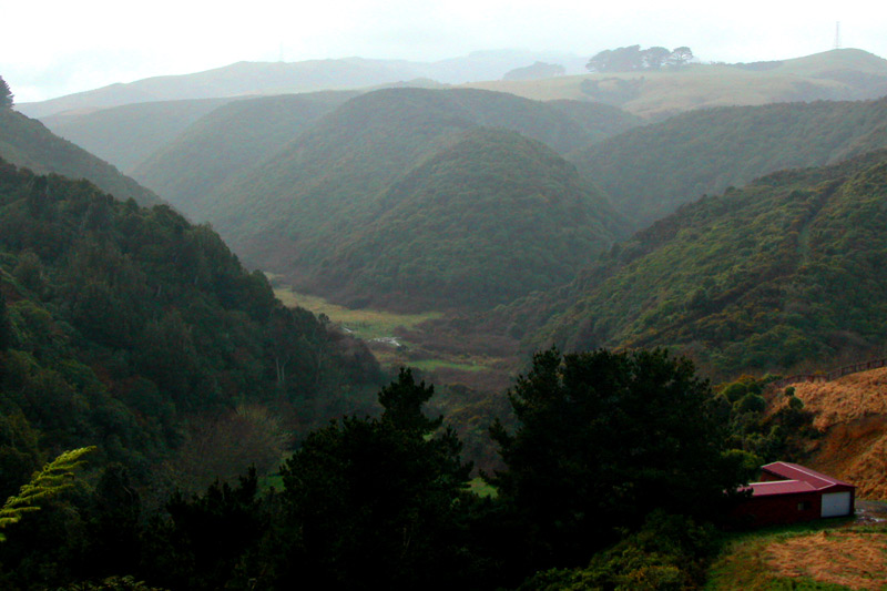 20 August 04 - Misty Valleys Near Wellington