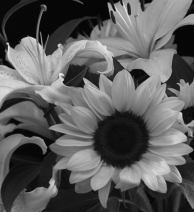 9 Dec 04 - BnW Flowers