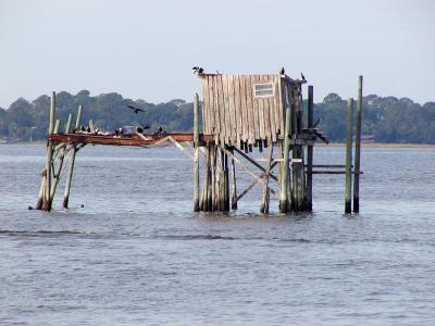 Bird House (Other side)