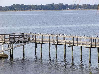 Dock from our apartment, Daytime
