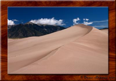 u8/photodane/medium/32934146.200408122GSD2curve.jpg