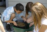 Panning for Gold