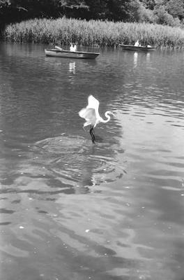 06/1999 Central Park