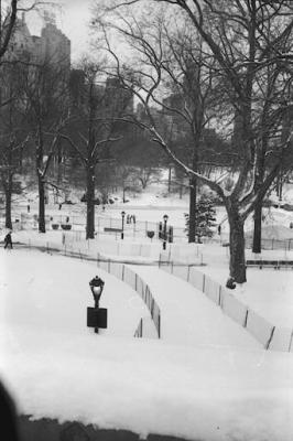 02/2001 Central Park under snow