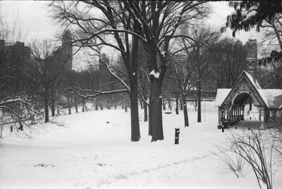 02/2001 Central Park under snow