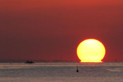 Vase Sunset
