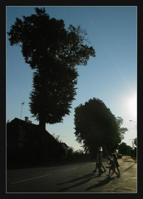 u8/pingupingu/medium/32933021.baltsillharbre4lumsoir.jpg