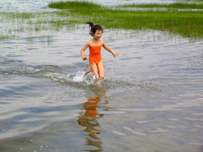 wading2.jpg
