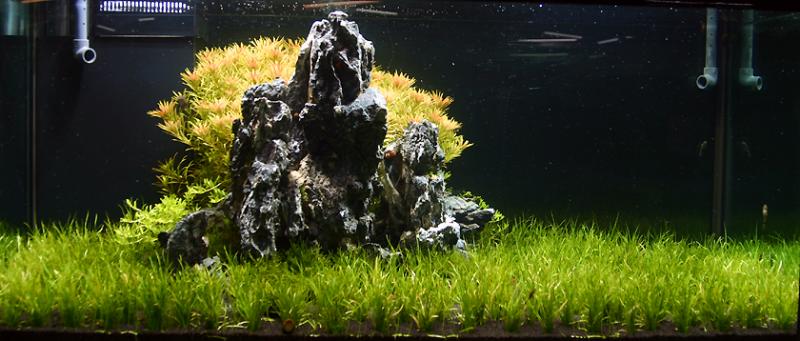 24th day after set up