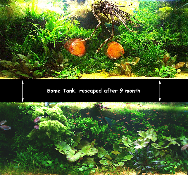Transformation
