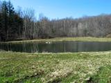 Echo Pond in Spring