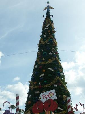 PICT5009.JPG