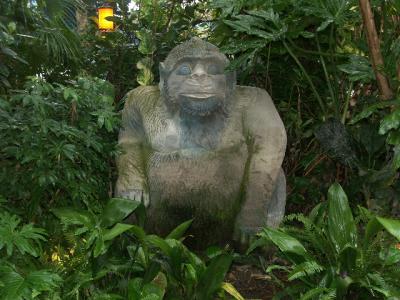 PICT5316.JPG