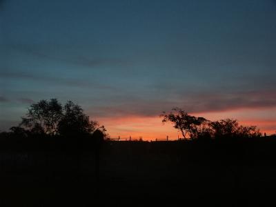 Animal Kingdom Lodge