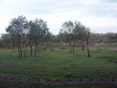 PICT5329.JPG