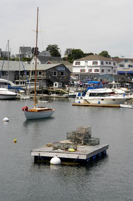 u8/pompapa/medium/32785062.Maine198copy.jpg