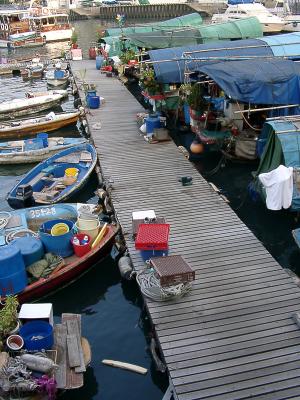 Causeway Bay Typhoon Shelter