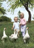 geese-kids.jpg