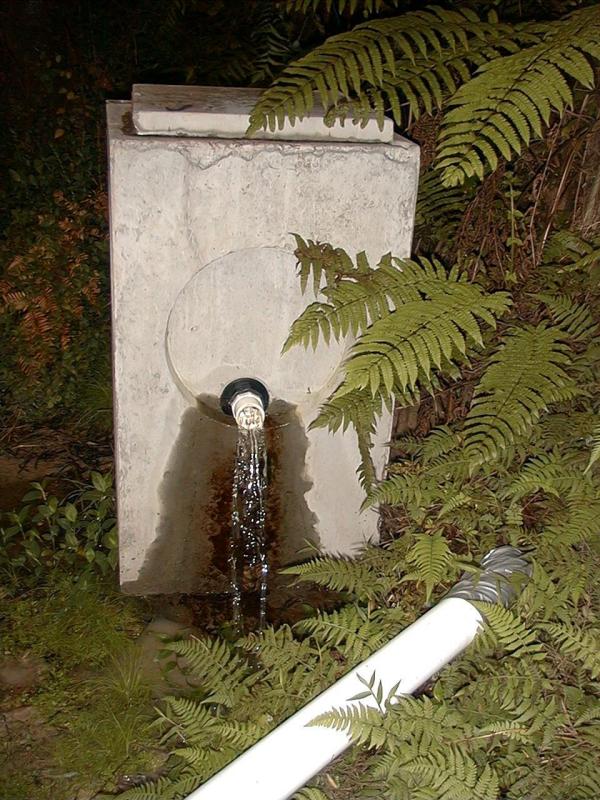 Image89.jpg