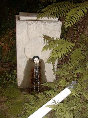 Image89.jpg