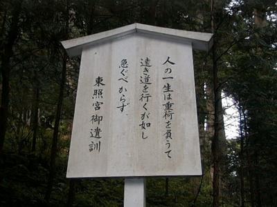 Image146.jpg