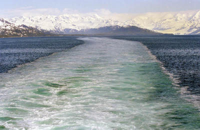 Ship's Wake leaving Glacier Bay