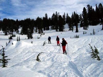 All have glaciers cascading to tree the line