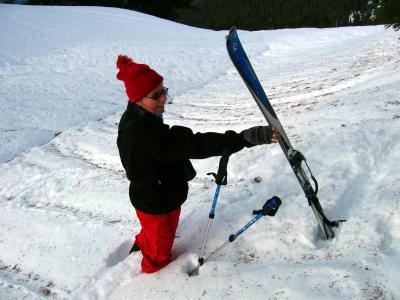 (the Garibaldi Massif is an old volcano).