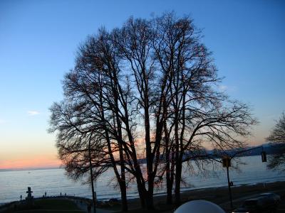 u8/r_and_m/medium/37487960.IMG_2020.jpg