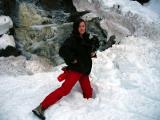 Mt. Garibaldi and Diamond Head to the