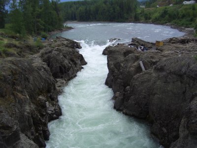 Looking for the salmon to run upriver.
