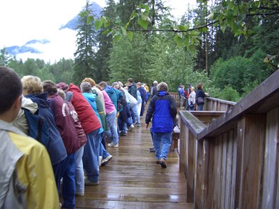 Looking for a spot to bear watch.
