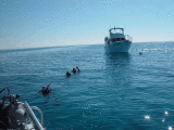 WHAT AN AWESOME DAY ON THE WATER