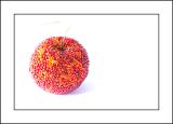 Apple revisited