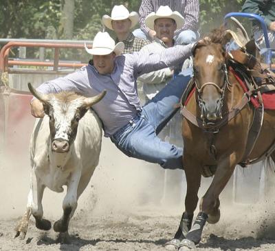 Attica (NY) Rodeo, 8 August 2004