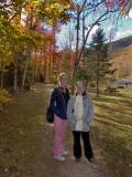 Near Crawford notch