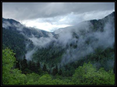 JPG SB Smokies 17478363.jpg