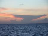 cool whale tail cloud at sunset