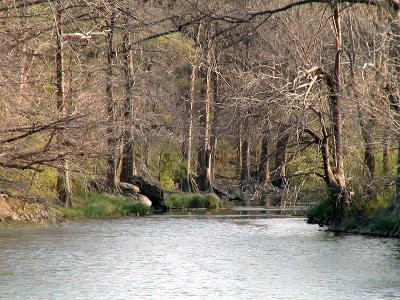 Onion Creek