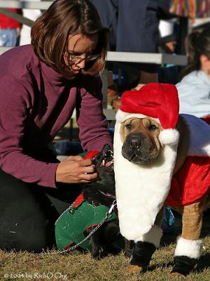 Boerne - Howliday Pet Contest