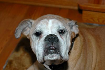 DSC_5964_b.jpg