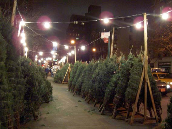 Christmastime (back in) NYC, just down the block