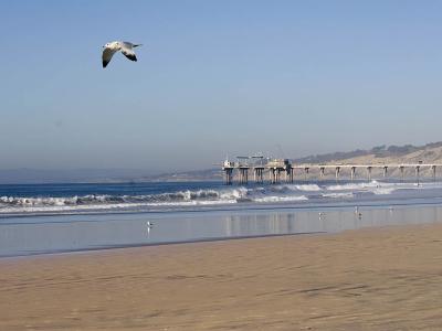 Scripps Pier