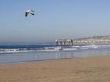 Scripps Pier