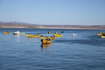 Chile 2004: Las Tacas, La Serena and Tongoy